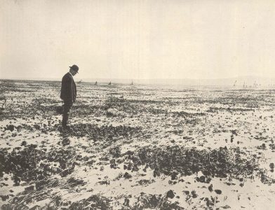 man staring at an oyster bed