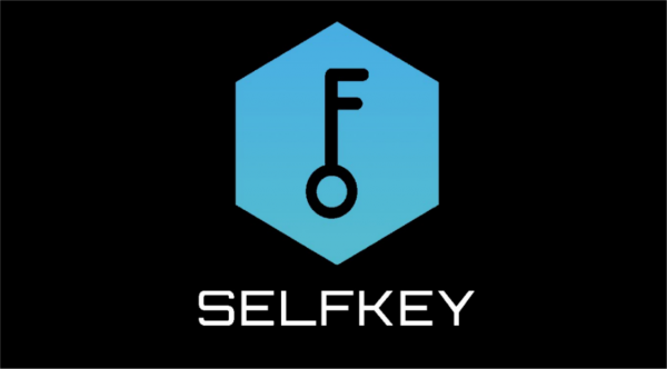 SelfKey logo png