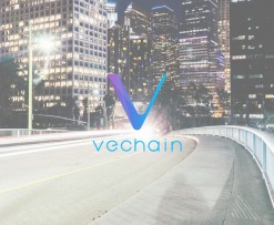 VeChain Whitepaper Highlights