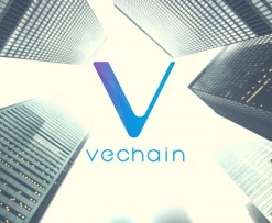 investin_vechain