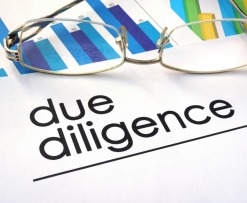 due_diligence_checklist