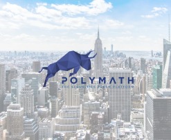 What is Polymath