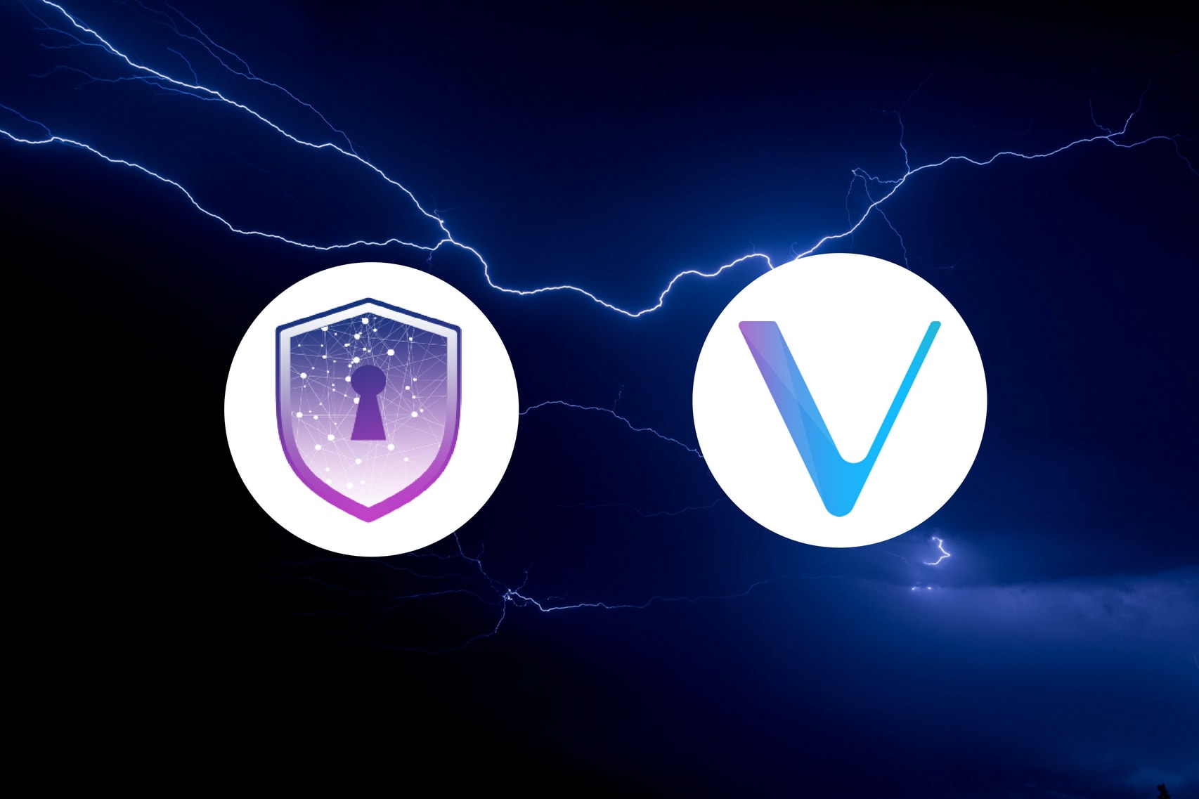 Safe Haven Joins the VeChainThor Blockchain