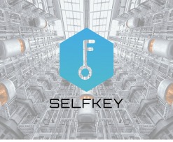 What is SelfKey?