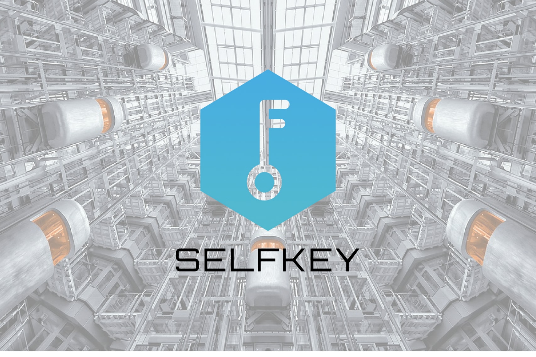What is SelfKey?