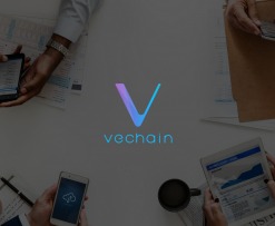 VeChainThor Mobile Wallet