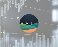 Price Analysis: SALT