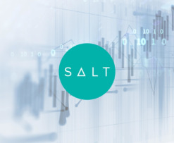 SALT Price Analysis
